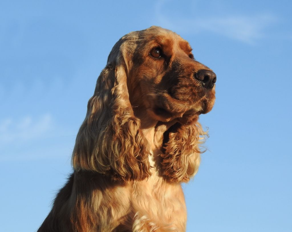 Pin up De L'étang Au Miroir