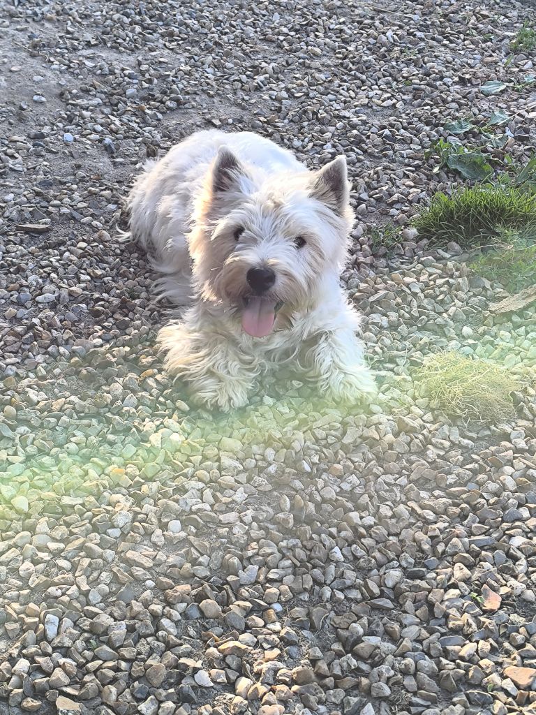 Una dit youna du domaine du val de lucy