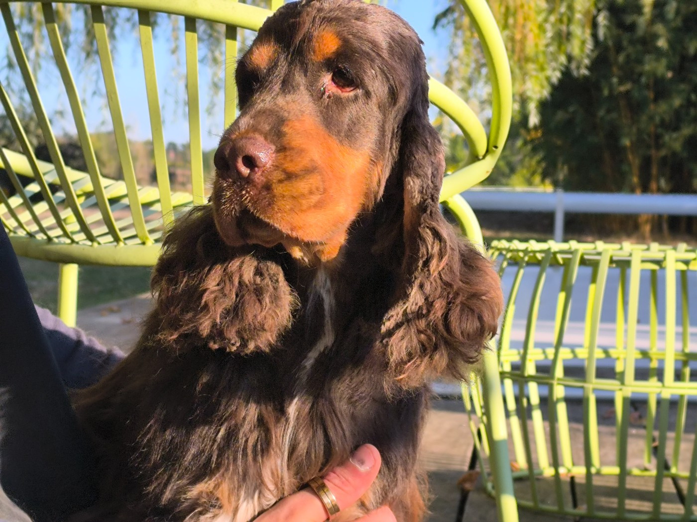 Unolulu De L'étang Au Miroir