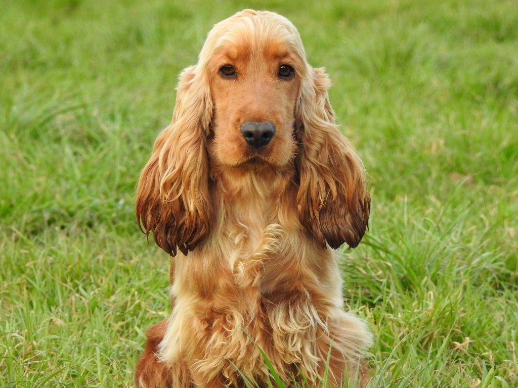 Umi De L'étang Au Miroir