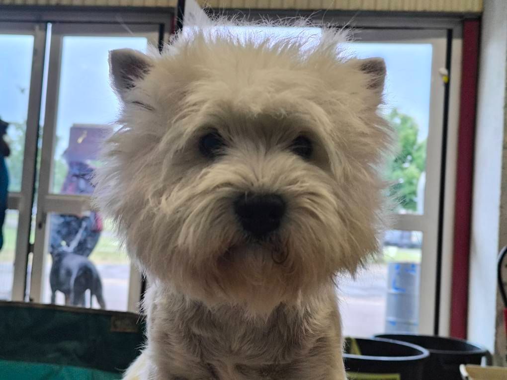 Uno dos tres sol du vallon des Aures