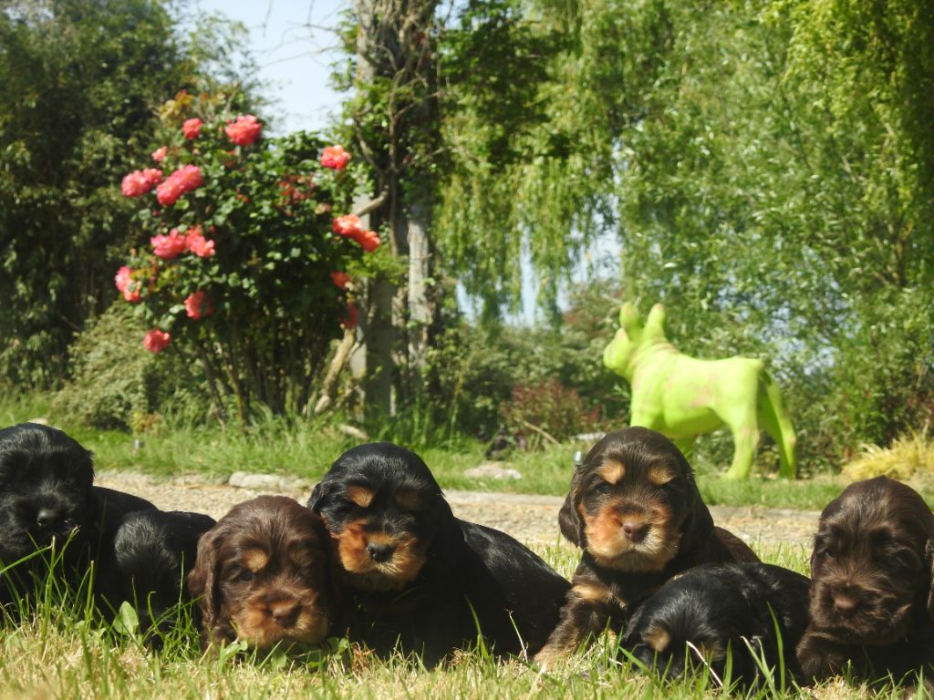 DES BEBES N'ATTENDENT PLUS QUE VOUS !